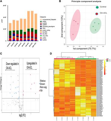 Small RNA signatures of the anterior cruciate ligament from patients with knee joint osteoarthritis